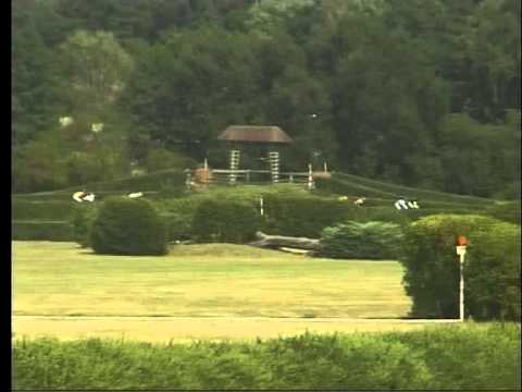 KO, 1. 8. 2015, 8. dostih - CENA FC PANTER KOLESA