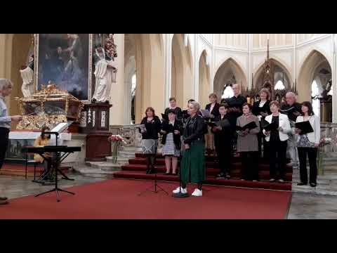 Krev a šroubky