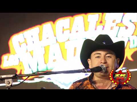 Los Chacales del Maule - Zenaida Ingrata (Oficial Video)