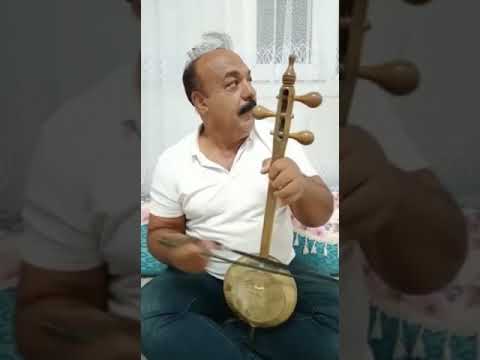 celal evindar şevedi