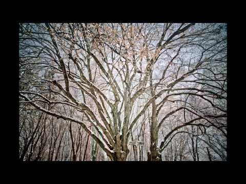 Felsőzsolca  Téli varázslat   www stiberphoto com