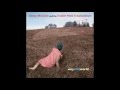 antsy mcclain and the trailer park troubadours - shes better lookin when you re lonely