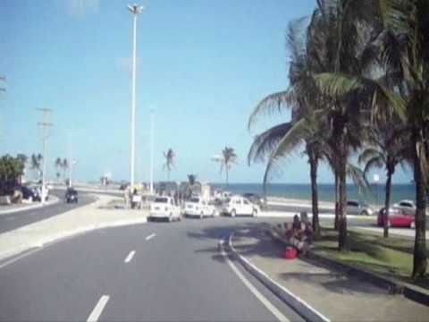 Estivador - Scambo