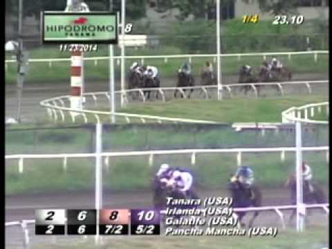 8VA CARRERA DEL DOMINGO 23 DE NOVIEMBRE 2014 HPR