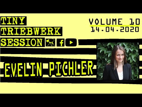 TINY TRIEBWERK SESSIONS – VOLUME 10: Evelin Pichler