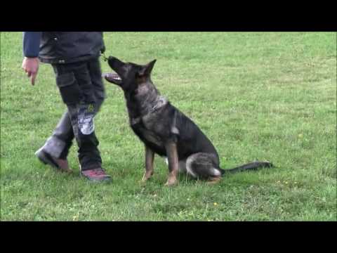 Hesi Zde-Sko - 16 months