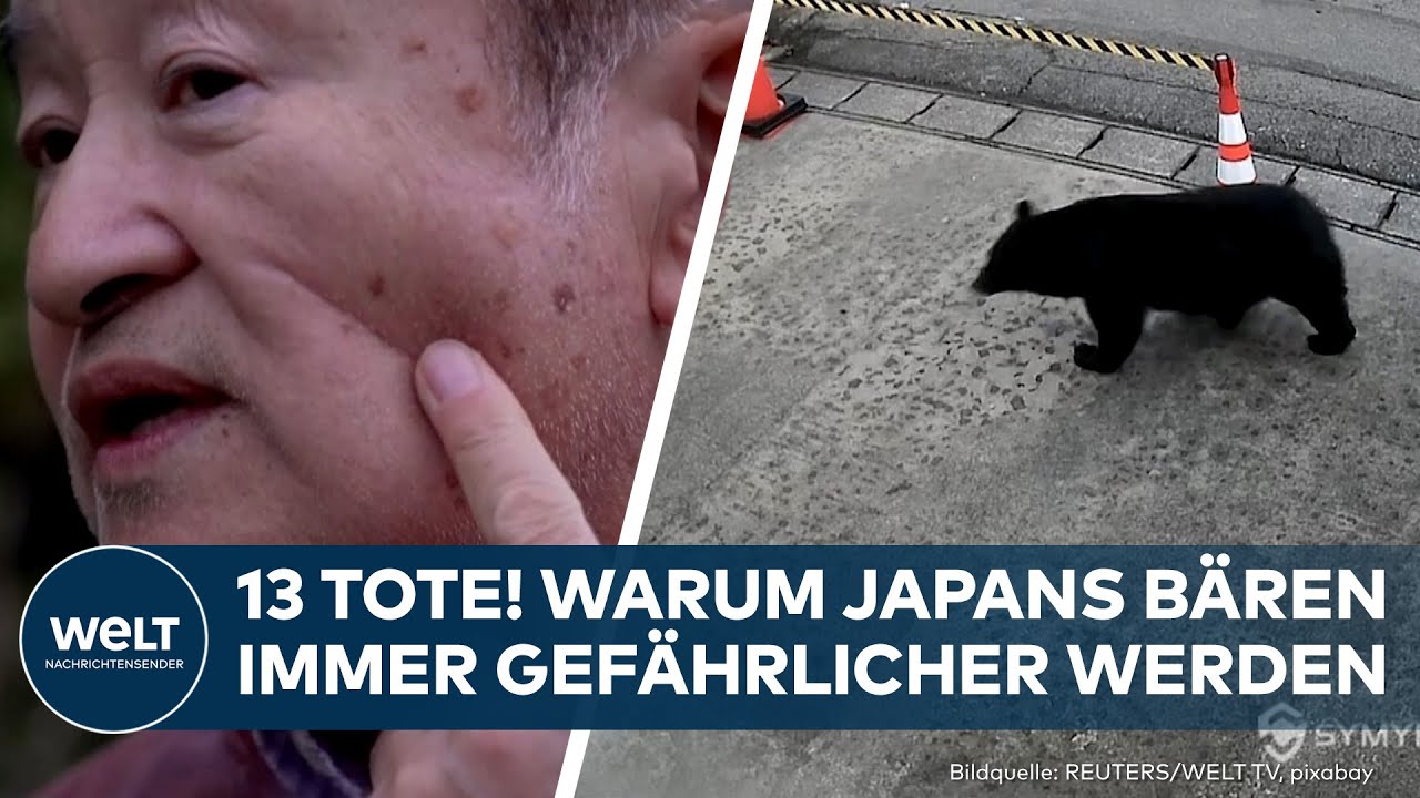 JAPAN: 13 Tote durch Bärenangriffe! Dörfer im Ausnahmezustand!