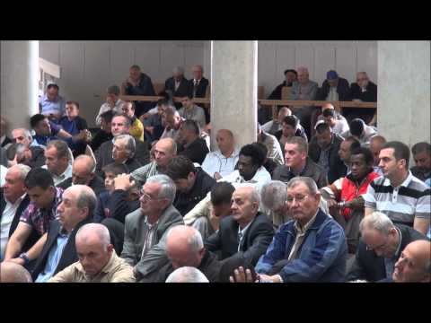 Alen ef. Kotorić - H  U  T  B  A