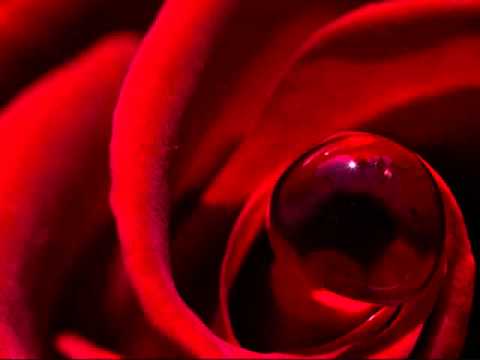 FEDERICO VEGA-QUE CHIDO.