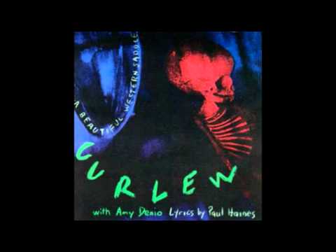 Curlew - Still Trying