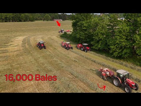 Massive Hay Making Effort - 9 Balers Running
