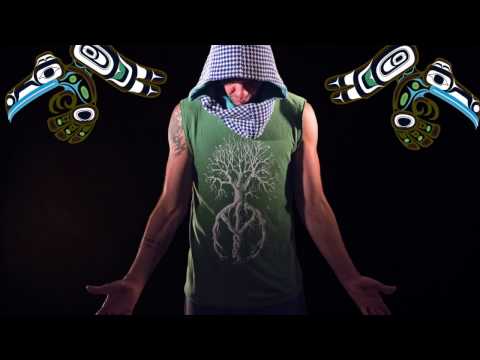 PAVLIDIS Die wahren Probleme