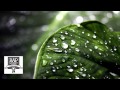 G Eazy Endless Summer Ft Erika Flowers