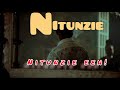 Nitunzie-(Video lyrics)