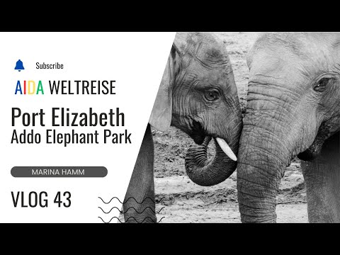 VLOG 43 - Port Elizabeth -  Addo Elephant Park - Weltreise AIDAsol 2024 / 2025