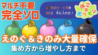 【ぽこあポケモン】全種類の「えのぐ」と「きのみ」を大量に集める方法