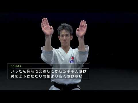 Wadoryu Chinto (360 Viewing system )