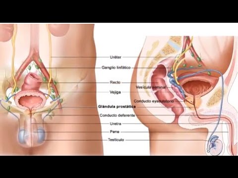 Vitaprost forte durante lesacerbazione di prostatite Cura per la lista prostatite