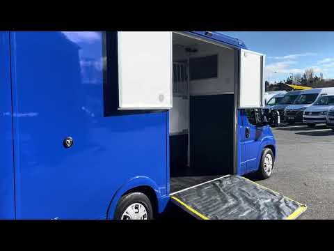 2021 FIAT DUCATO AUTO BRAND NEW HORSEBOX BODY - Image 2