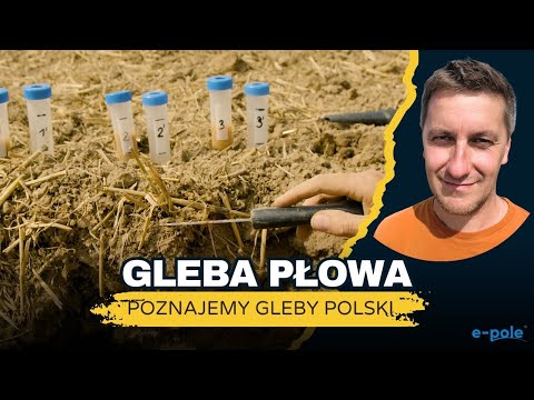 💡 LUW SOIL. Learning about Poland's agricultural soils with Prof. Bartłomiej Glina | e-pole