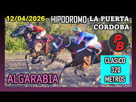 ALGARABIA: HIPODROMO MUNICIPAL LA PUERTA - CORDOBA (12-04-2026)