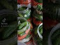 türlü turşu yapımı part 2