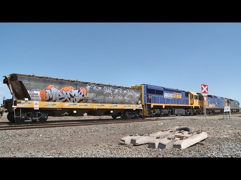 Pacific National 7731V Grain Train Arrives At Gheringhap (27/10/2023) - PoathTV Australian Railways