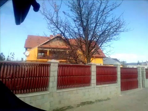 jaful din padurea comunei Greci