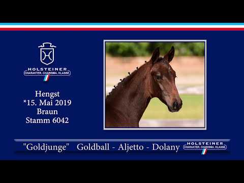 Holsteiner Elite-Fohlenauktion 2019 - Nr. 36 Goldjunge v. Goldball-Aljetto