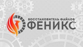 Феникс — видео обзор