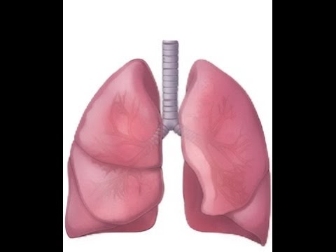 BREATH SOUNDS- WHEEZES - YouTube