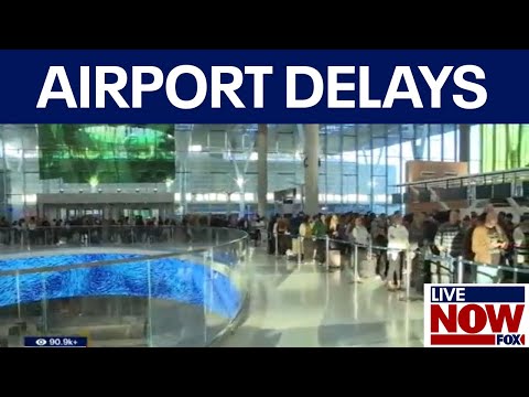 Video | Air travel feeling impacts of government shutdown