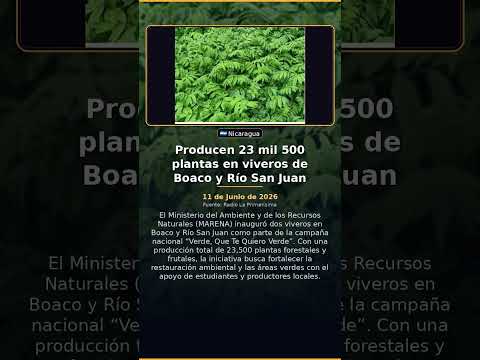 Producen 23 mil 500 plantas en viveros de Boaco y Río San Juan