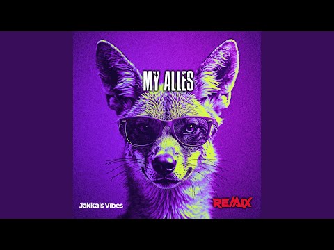 My Alles (Remix Version)