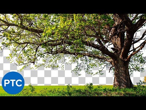 Swap Faces Like a PRO in Photoshop Realistic Results