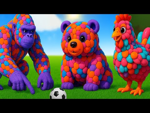 Ready Go Good kick ball | ASMR | The mascot vibrato assistant dog placed on the football field