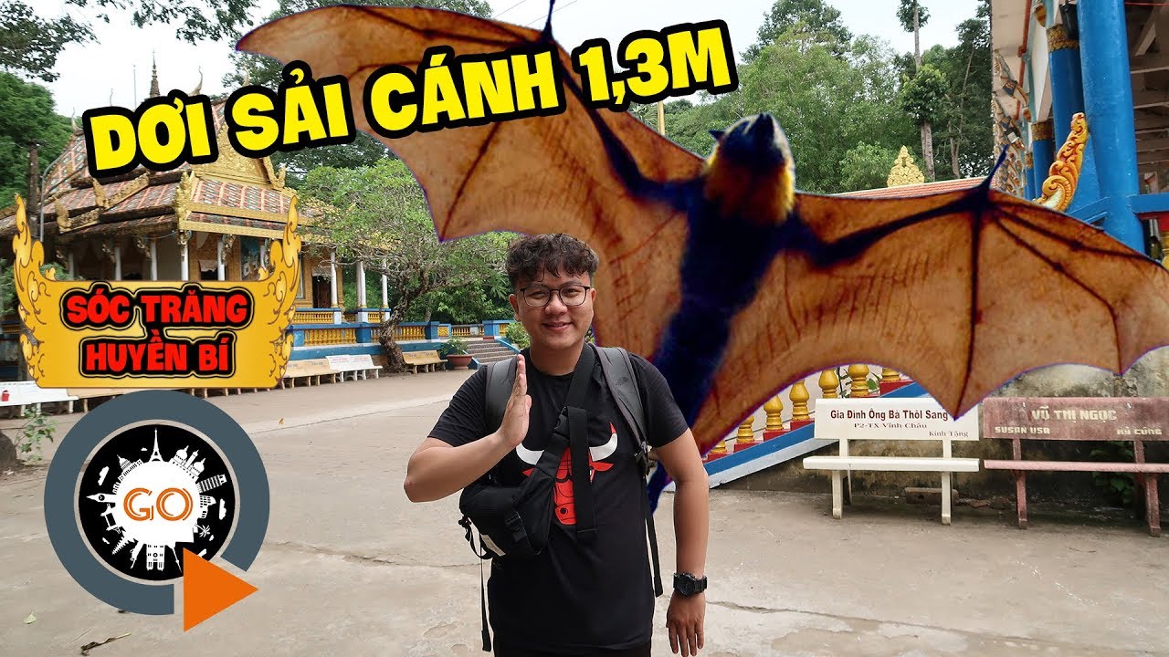 Đi tìm Dơi Khổng Lồ sải cánh 1m3 ở chùa Dơi | SÓC TRĂNG HUYỀN BÍ | Bat Pagoda in Soc Trang
