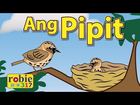 Ang Pipit | Classic Filipino Folk Song | robie317