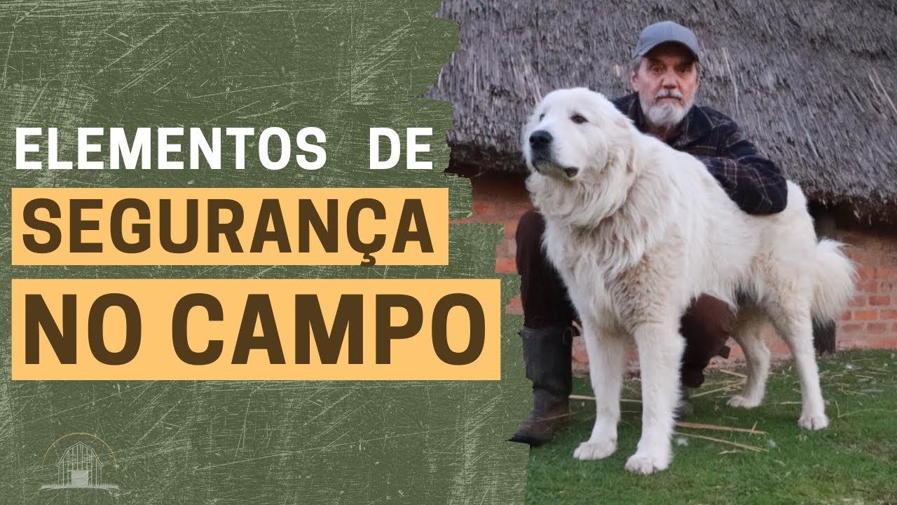 Como Ter Mais Segurança no Campo | Tipos de Cerca, Cães, Gansos e Aparelhos | João Rockett