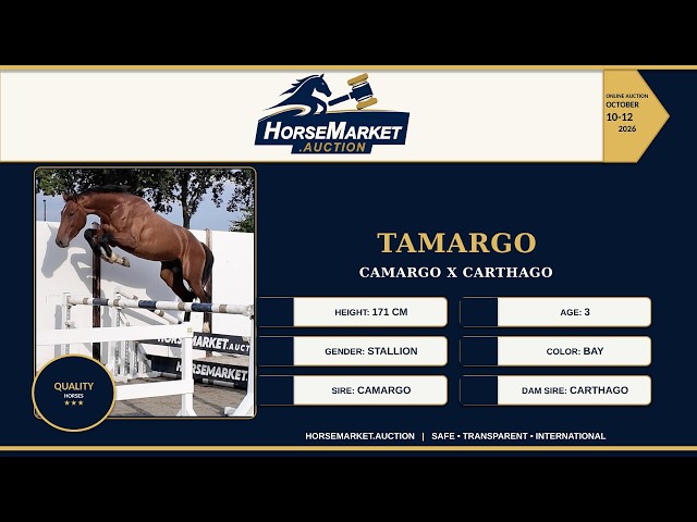 Tamargo