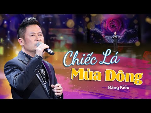 Chiếc Lá Mùa Đông - Nhạc Hoa Lời Việt (Người ơi, đừng nên d�...