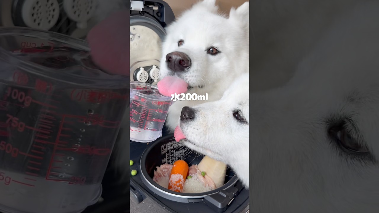 たけのこの炊き込みご飯つくったら爆食してくれました！