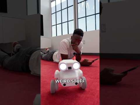 The Wildest Camera Robot