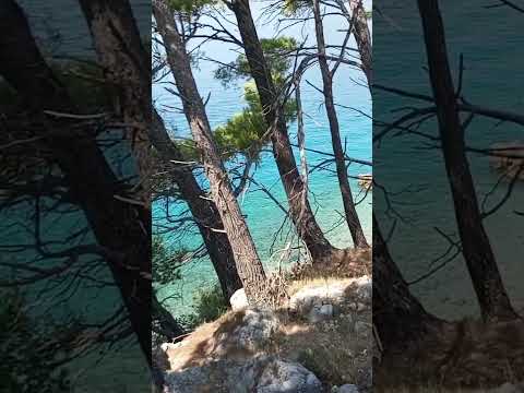 Cvrčci, cvrčci cvrčak ❤️‍🔥❤️‍🔥