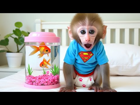 Macaco Bon Bon e a Aventura Divertida de pescar - MACACO BON BON