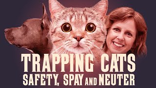 Trapping Cats: Safety, Spay & Neuter