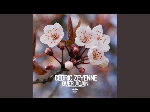 Over Again (Original Mix)