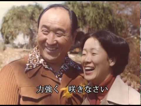 Retorno à Terra Natal