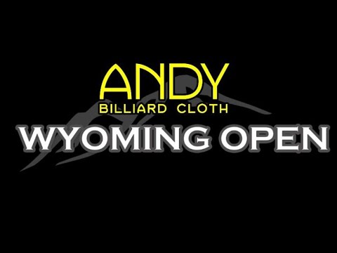 Rodney Morris vs Shane VanBoening - 2016 Wyoming Open 8 Ball