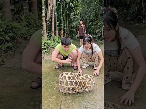Chị bán con gà cho em đi